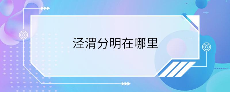 泾渭分明在哪里