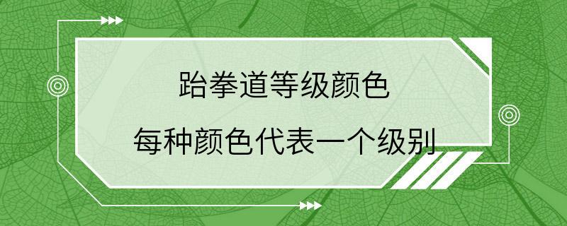 跆拳道等级颜色 每种颜色代表一个级别