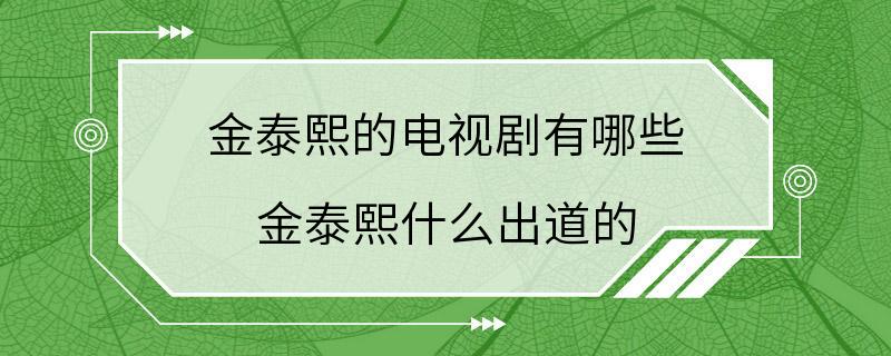 金泰熙的电视剧有哪些 金泰熙什么出道的