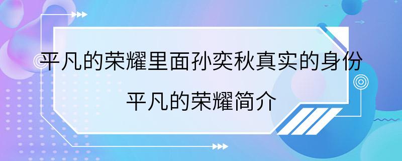 平凡的荣耀里面孙奕秋真实的身份 平凡的荣耀简介