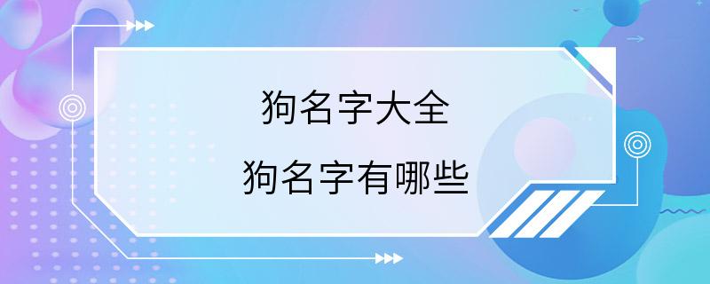 狗名字大全 狗名字有哪些