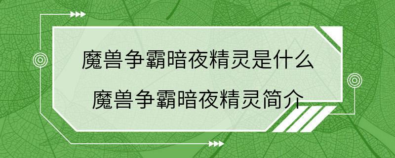 魔兽争霸暗夜精灵是什么 魔兽争霸暗夜精灵简介