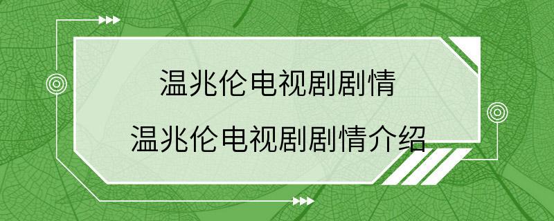 温兆伦电视剧剧情 温兆伦电视剧剧情介绍