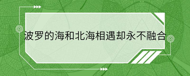 波罗的海和北海相遇却永不融合