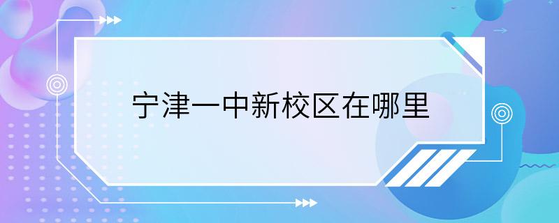 宁津一中新校区在哪里