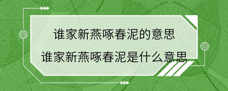 谁家新燕啄春泥的意思 谁家新燕啄春泥是什么意思