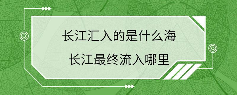 长江汇入的是什么海 长江最终流入哪里