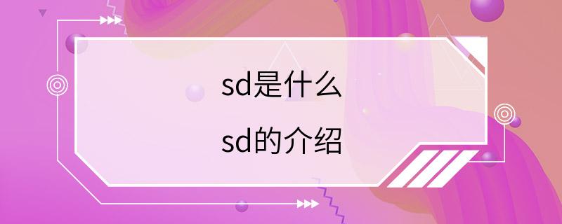 sd是什么 sd的介绍