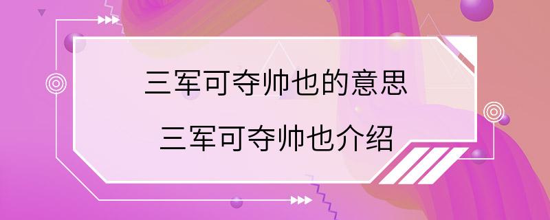 三军可夺帅也的意思 三军可夺帅也介绍