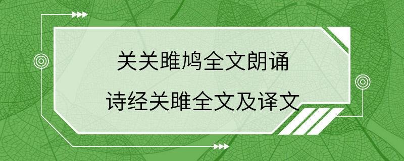 关关雎鸠全文朗诵 诗经关雎全文及译文