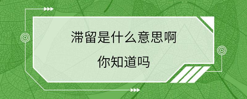 滞留是什么意思啊 你知道吗