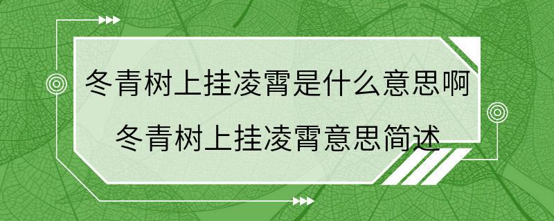 冬青树上挂凌霄是什么意思啊 冬青树上挂凌霄意思简述