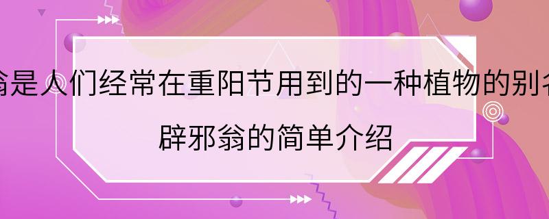 辟邪翁是人们经常在重阳节用到的一种植物的别名它是 辟邪翁的简单介绍