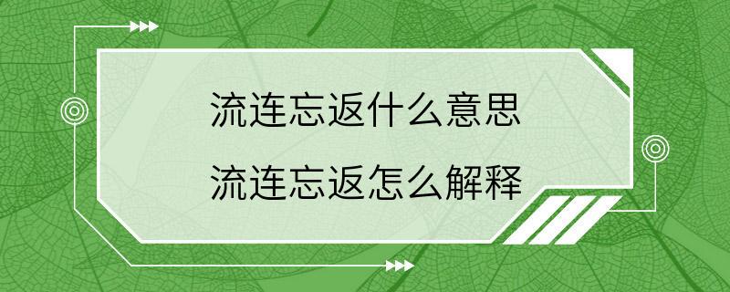 流连忘返什么意思 流连忘返怎么解释