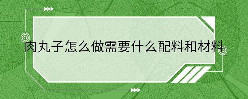 肉丸子怎么做需要什么配料和材料