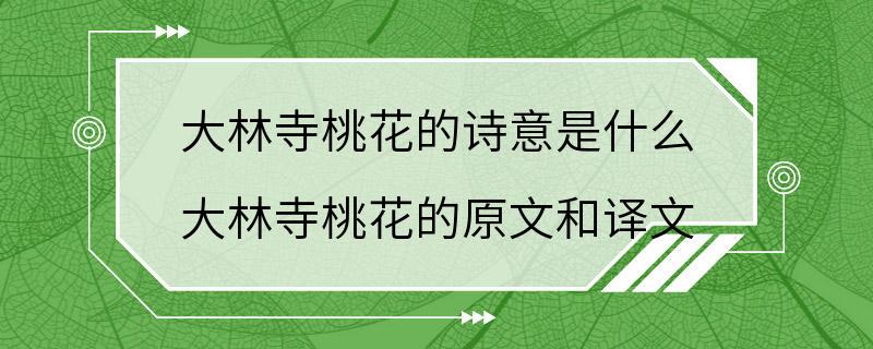 大林寺桃花的诗意是什么 大林寺桃花的原文和译文