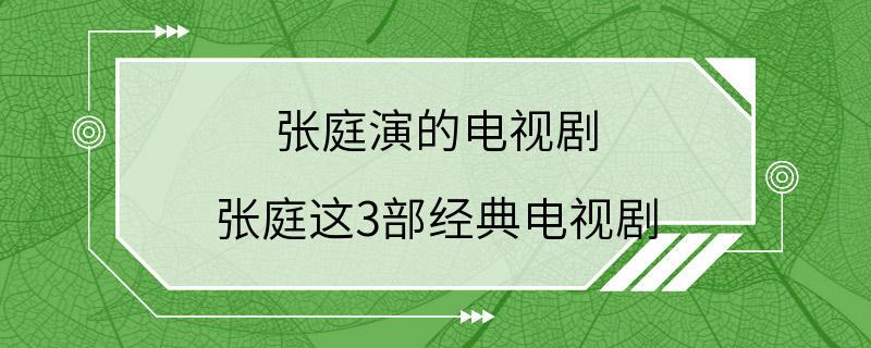 张庭演的电视剧 张庭这3部经典电视剧