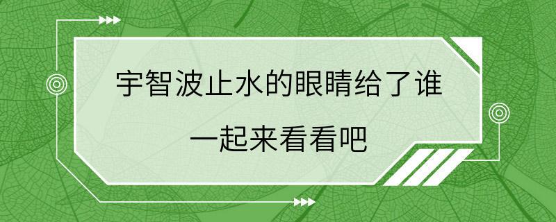 宇智波止水的眼睛给了谁 一起来看看吧