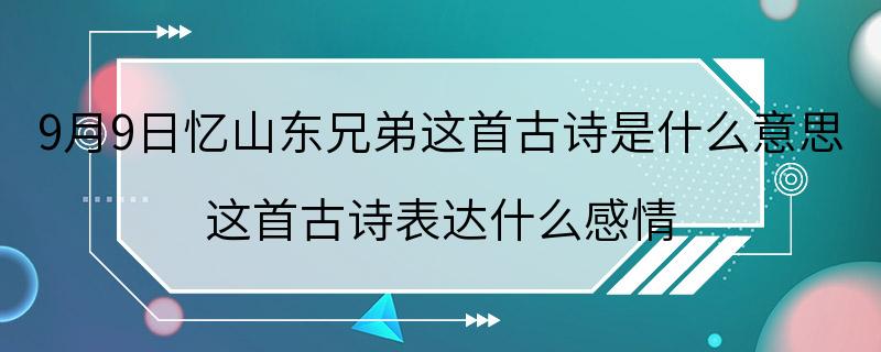 9月9日忆山东兄弟这首古诗是什么意思 这首古诗表达什么感情