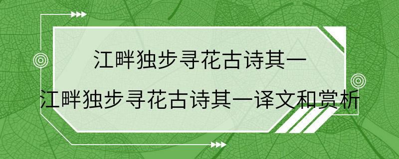 江畔独步寻花古诗其一 江畔独步寻花古诗其一译文和赏析