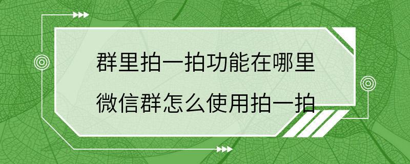 群里拍一拍功能在哪里 微信群怎么使用拍一拍