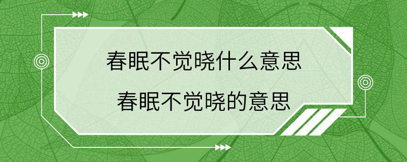 春眠不觉晓什么意思 春眠不觉晓的意思