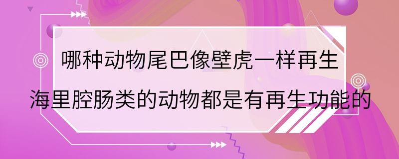 哪种动物尾巴像壁虎一样再生 海里腔肠类的动物都是有再生功能的