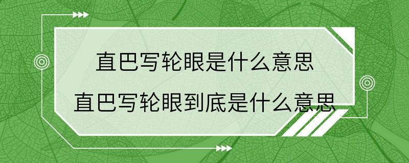 直巴写轮眼是什么意思 直巴写轮眼到底是什么意思