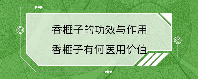 香榧子的功效与作用 香榧子有何医用价值