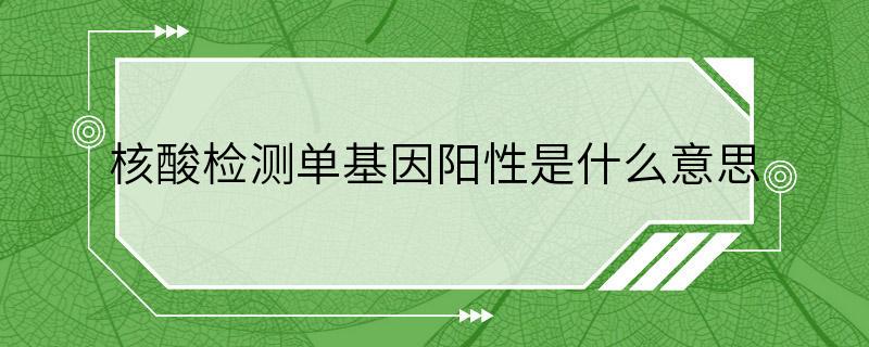 核酸检测单基因阳性是什么意思