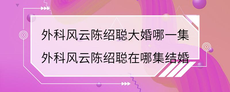 外科风云陈绍聪大婚哪一集 外科风云陈绍聪在哪集结婚