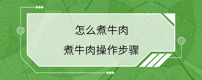 怎么煮牛肉 煮牛肉操作步骤