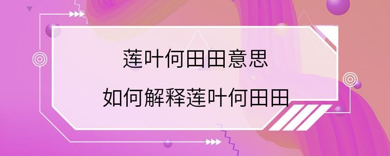 莲叶何田田意思 如何解释莲叶何田田