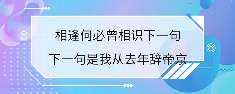 相逢何必曾相识下一句 下一句是我从去年辞帝京