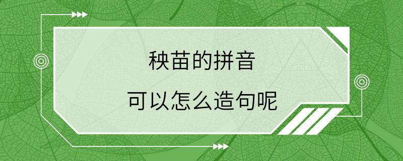 秧苗的拼音 可以怎么造句呢