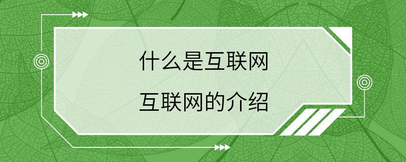 什么是互联网 互联网的介绍