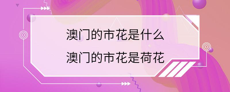 澳门的市花是什么 澳门的市花是荷花