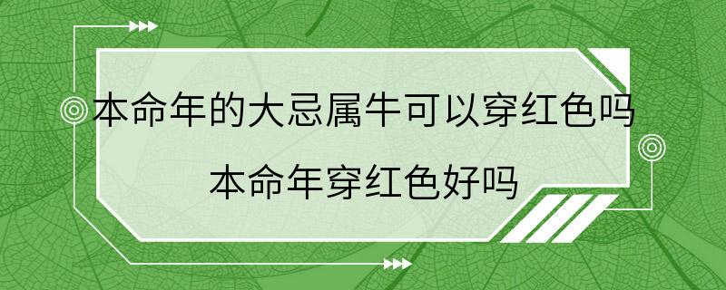 本命年的大忌属牛可以穿红色吗 本命年穿红色好吗