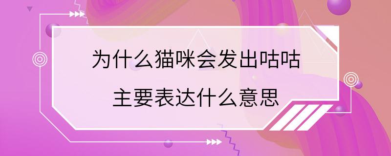 为什么猫咪会发出咕咕 主要表达什么意思