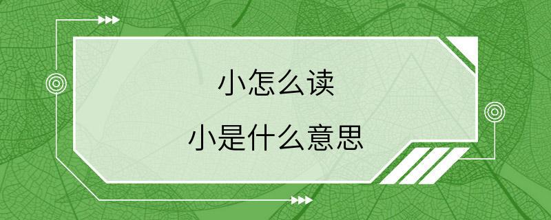 小怎么读 小是什么意思