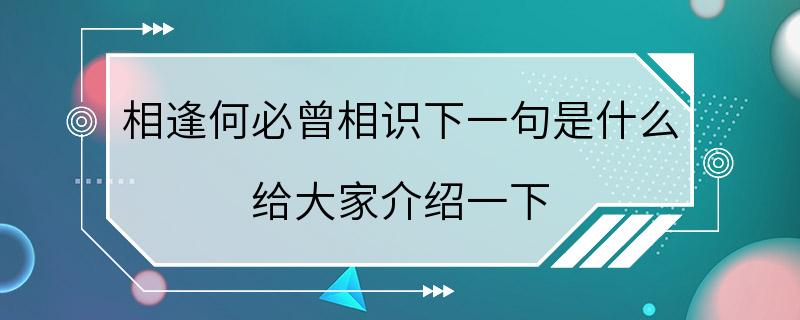 相逢何必曾相识下一句是什么 给大家介绍一下