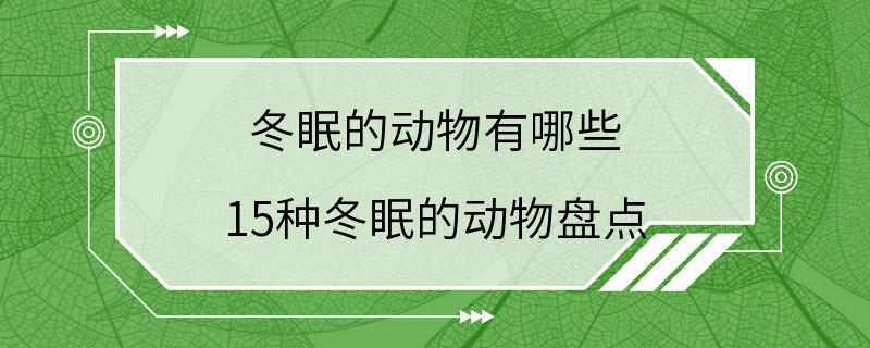 冬眠的动物有哪些 15种冬眠的动物盘点