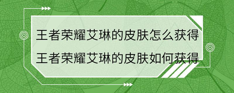 王者荣耀艾琳的皮肤怎么获得 王者荣耀艾琳的皮肤如何获得