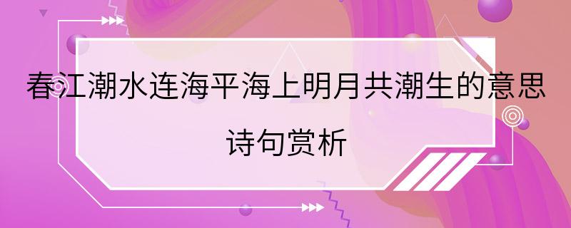 春江潮水连海平海上明月共潮生的意思 诗句赏析