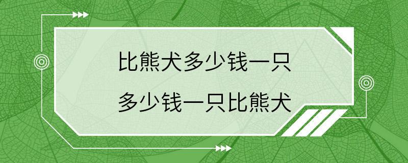 比熊犬多少钱一只 多少钱一只比熊犬