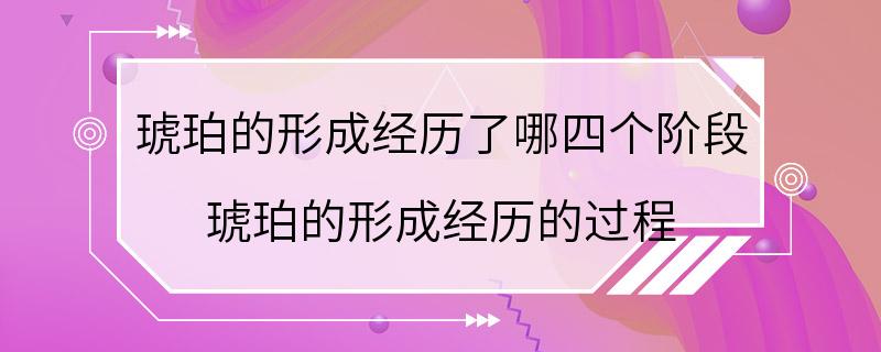 琥珀的形成经历了哪四个阶段 琥珀的形成经历的过程