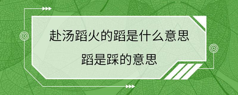 赴汤蹈火的蹈是什么意思 蹈是踩的意思