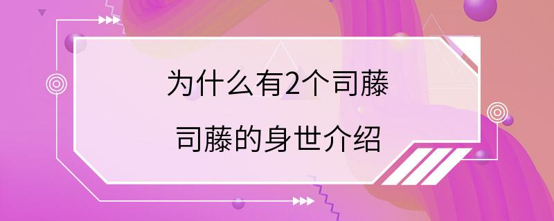 为什么有2个司藤 司藤的身世介绍