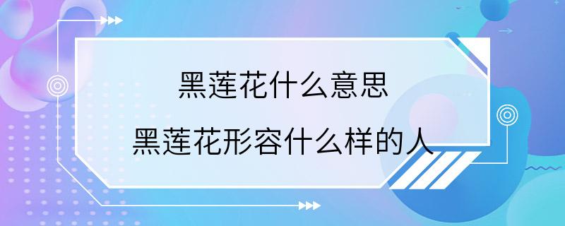 黑莲花什么意思 黑莲花形容什么样的人