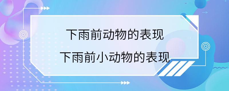 下雨前动物的表现 下雨前小动物的表现